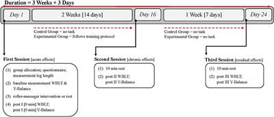 Chronic and Residual Effects of a Two-Week Foam Rolling Intervention on Ankle Flexibility and Dynamic Balance